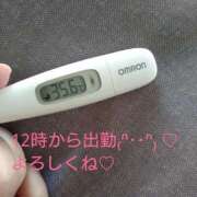 ヒメ日記 2025/03/07 10:47 投稿 カナコ(奥方) 奥様幕府