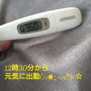 ヒメ日記 2025/03/08 12:17 投稿 カナコ(奥方) 奥様幕府