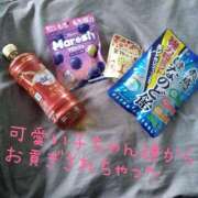 ヒメ日記 2025/03/08 17:28 投稿 カナコ(奥方) 奥様幕府