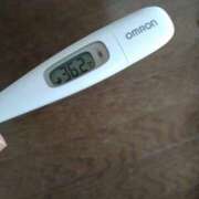 ヒメ日記 2025/03/24 15:07 投稿 カナコ(奥方) 奥様幕府