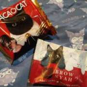 ヒメ日記 2025/03/24 23:08 投稿 カナコ(奥方) 奥様幕府