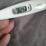 ヒメ日記 2025/03/27 12:27 投稿 カナコ(奥方) 奥様幕府