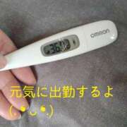 ヒメ日記 2025/03/28 13:27 投稿 カナコ(奥方) 奥様幕府