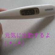 ヒメ日記 2025/03/29 13:46 投稿 カナコ(奥方) 奥様幕府