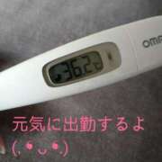 ヒメ日記 2025/03/30 11:37 投稿 カナコ(奥方) 奥様幕府