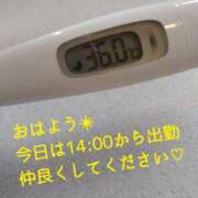 ヒメ日記 2025/03/31 12:47 投稿 カナコ(奥方) 奥様幕府