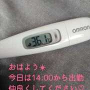 ヒメ日記 2025/04/01 13:02 投稿 カナコ(奥方) 奥様幕府