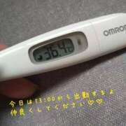 ヒメ日記 2025/04/02 13:05 投稿 カナコ(奥方) 奥様幕府