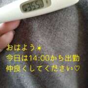 ヒメ日記 2025/04/03 13:07 投稿 カナコ(奥方) 奥様幕府