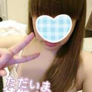 ヒメ日記 2025/04/04 00:52 投稿 カナコ(奥方) 奥様幕府