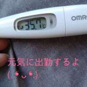 ヒメ日記 2025/04/04 13:24 投稿 カナコ(奥方) 奥様幕府