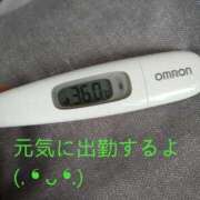 ヒメ日記 2025/04/05 13:57 投稿 カナコ(奥方) 奥様幕府