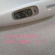 ヒメ日記 2025/04/06 12:27 投稿 カナコ(奥方) 奥様幕府