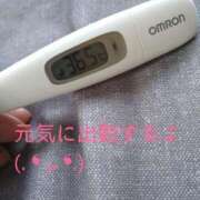 ヒメ日記 2025/04/07 13:17 投稿 カナコ(奥方) 奥様幕府