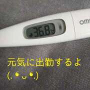 ヒメ日記 2025/04/09 12:37 投稿 カナコ(奥方) 奥様幕府