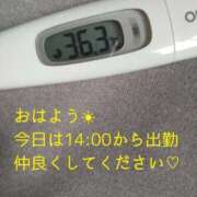 ヒメ日記 2025/04/11 13:27 投稿 カナコ(奥方) 奥様幕府