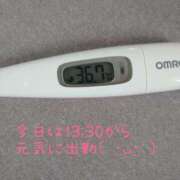 ヒメ日記 2025/04/12 13:05 投稿 カナコ(奥方) 奥様幕府