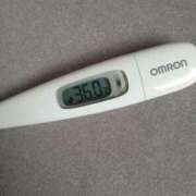 ヒメ日記 2025/04/18 12:47 投稿 カナコ(奥方) 奥様幕府