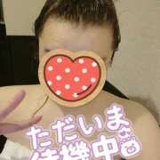 ヒメ日記 2025/04/20 17:17 投稿 カナコ(奥方) 奥様幕府