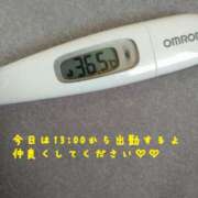 ヒメ日記 2025/04/21 12:27 投稿 カナコ(奥方) 奥様幕府