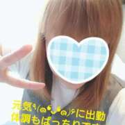 ヒメ日記 2025/04/21 13:17 投稿 カナコ(奥方) 奥様幕府