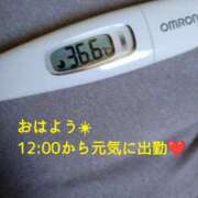 ヒメ日記 2025/04/22 10:37 投稿 カナコ(奥方) 奥様幕府