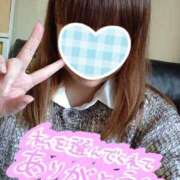 ヒメ日記 2025/04/22 19:17 投稿 カナコ(奥方) 奥様幕府