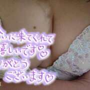 ヒメ日記 2025/04/22 23:47 投稿 カナコ(奥方) 奥様幕府