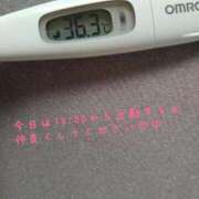 ヒメ日記 2025/04/23 11:33 投稿 カナコ(奥方) 奥様幕府