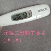 ヒメ日記 2025/04/24 12:01 投稿 カナコ(奥方) 奥様幕府