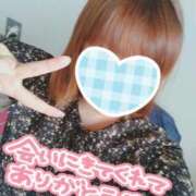 ヒメ日記 2025/04/24 16:17 投稿 カナコ(奥方) 奥様幕府