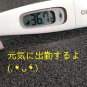 ヒメ日記 2025/04/25 11:57 投稿 カナコ(奥方) 奥様幕府