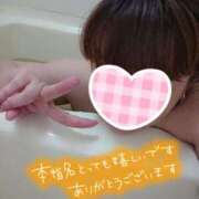 ヒメ日記 2025/04/26 04:27 投稿 カナコ(奥方) 奥様幕府