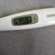 ヒメ日記 2025/04/26 12:37 投稿 カナコ(奥方) 奥様幕府