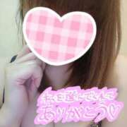 ヒメ日記 2025/04/28 03:27 投稿 カナコ(奥方) 奥様幕府