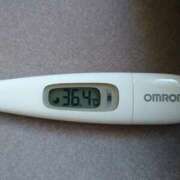 ヒメ日記 2025/04/29 11:47 投稿 カナコ(奥方) 奥様幕府