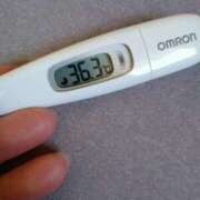 ヒメ日記 2025/04/30 11:27 投稿 カナコ(奥方) 奥様幕府