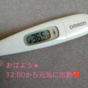 ヒメ日記 2025/05/01 11:47 投稿 カナコ(奥方) 奥様幕府