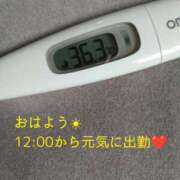 ヒメ日記 2025/05/02 11:57 投稿 カナコ(奥方) 奥様幕府