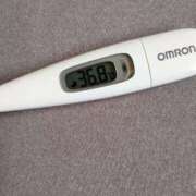 ヒメ日記 2025/05/04 12:16 投稿 カナコ(奥方) 奥様幕府