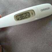 ヒメ日記 2025/05/05 12:14 投稿 カナコ(奥方) 奥様幕府