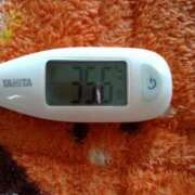 ヒメ日記 2025/05/25 11:39 投稿 カナコ(奥方) 奥様幕府