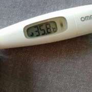 ヒメ日記 2025/05/26 13:35 投稿 カナコ(奥方) 奥様幕府