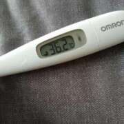 ヒメ日記 2025/05/27 13:07 投稿 カナコ(奥方) 奥様幕府