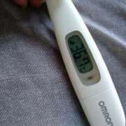 ヒメ日記 2025/05/29 13:12 投稿 カナコ(奥方) 奥様幕府