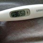 ヒメ日記 2025/05/31 13:17 投稿 カナコ(奥方) 奥様幕府