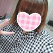 ヒメ日記 2025/06/01 18:21 投稿 カナコ(奥方) 奥様幕府