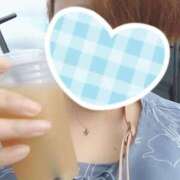 ヒメ日記 2025/06/24 19:37 投稿 カナコ(奥方) 奥様幕府