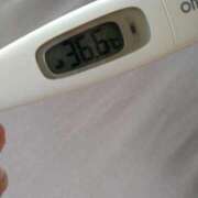 ヒメ日記 2025/06/25 11:47 投稿 カナコ(奥方) 奥様幕府