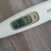 ヒメ日記 2025/07/04 13:29 投稿 カナコ(奥方) 奥様幕府